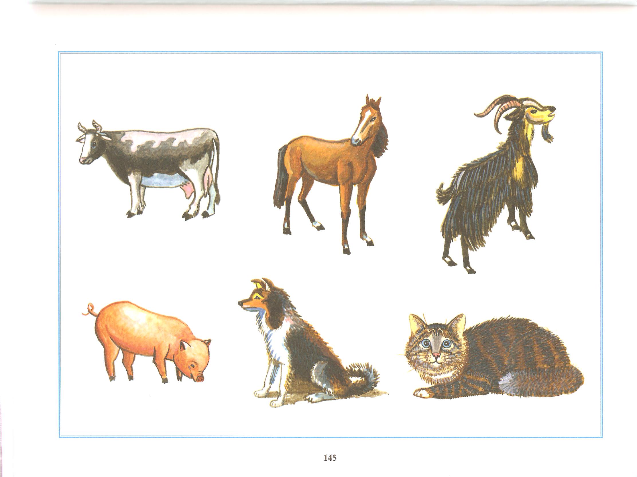 Домашние животные логопедия