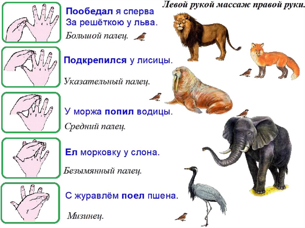 Тему животные жарких стран. Пальчиковая гимнастика животные жарких стран подготовительная. Пальчиковая гимнастика Дикие животные жарких стран. Пальчиковая гимнастика животные жарких стран средняя группа. Пальчиковая гимнастика животные жарких стран младшая группа.