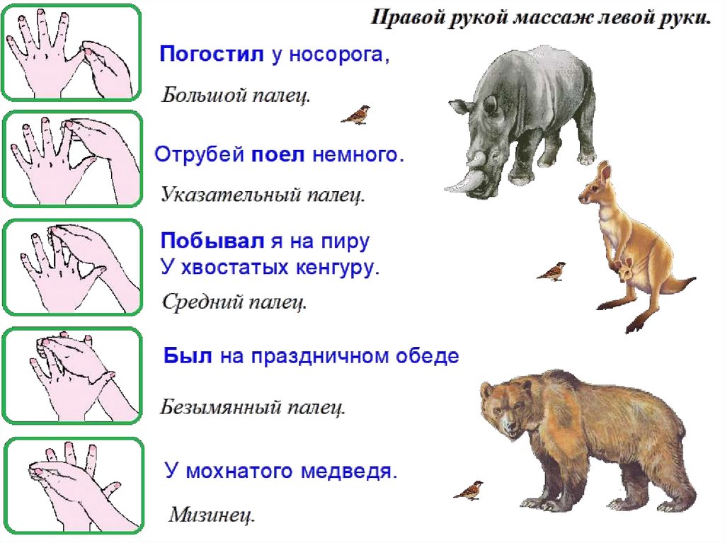 Презентация на тему животные жарких стран для дошкольников