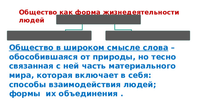 Общество как форма жизнедеятельности людей план