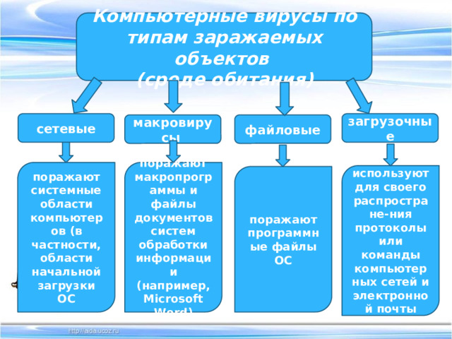 Какие файлы исполняемые в среде oс