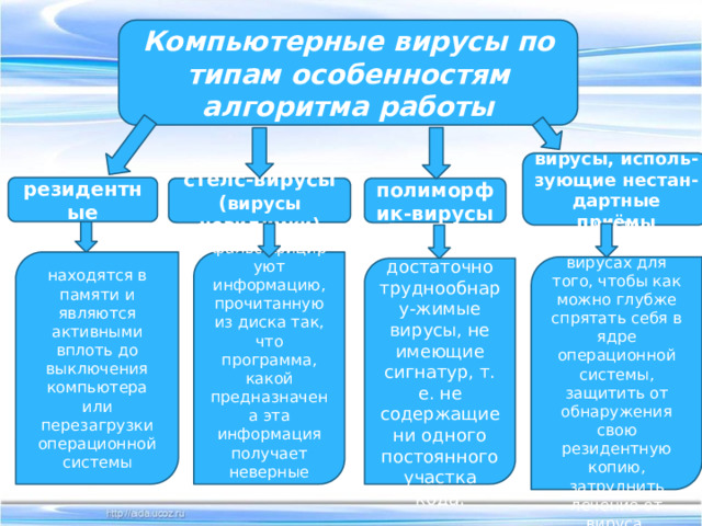 Компьютерные вирусы по типам особенностям алгоритма работы вирусы, исполь-зующие нестан-дартные приёмы резидентные полиморфик-вирусы стелс-вирусы ( вирусы невидимки) фальсифицируют информацию, прочитанную из диска так, что программа, какой предназначена эта информация получает неверные данные находятся в памяти и являются активными вплоть до выключения компьютера или перезагрузки операционной системы часто используются в вирусах для того, чтобы как можно глубже спрятать себя в ядре операционной системы, защитить от обнаружения свою резидентную копию, затруднить лечение от вируса  это достаточно труднообнару-жимые вирусы, не имеющие сигнатур, т. е. не содержащие ни одного постоянного участка кода. 