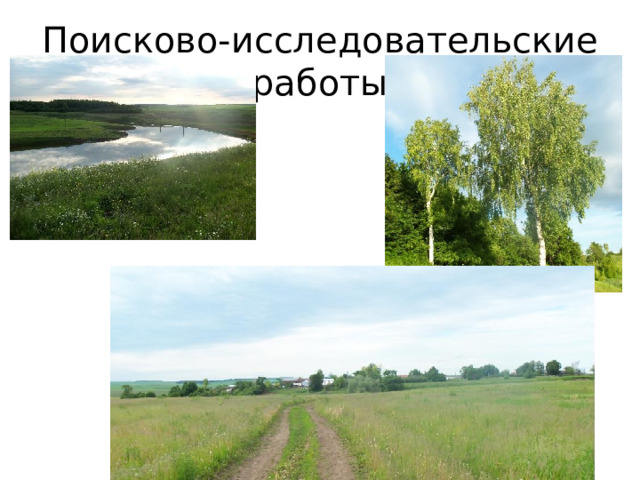 Поисково-исследовательские работы 