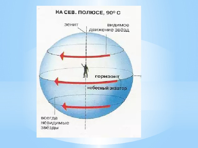 Видимое движение звезд на различных географических широтах презентация 11 класс