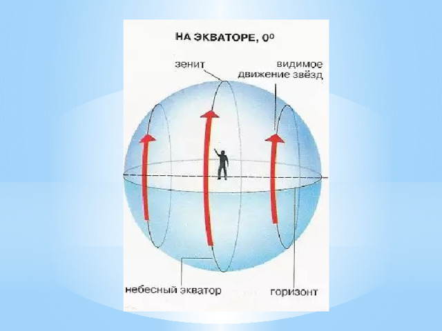 Видимое движение звезд на различных географических широтах презентация 11 класс