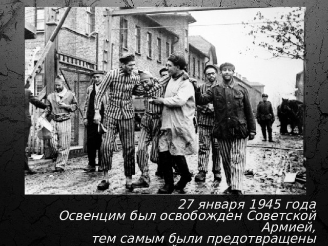 13. 27 января 1945 года Освенцим был освобожден Советской Армией, тем самым были предотвращены дальнейшие массовые казни. 27 января 1945 года Освенцим был освобожден Советской Армией, тем самым были предотвращены дальнейшие массовые казни  