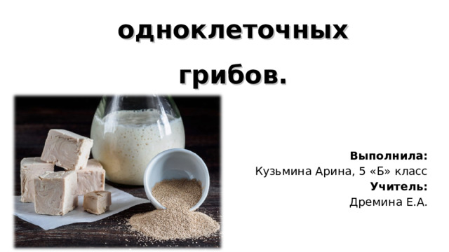 Дрожжи: захватывающая жизнь одноклеточных грибов. Выполнила: Кузьмина Арина, 5 «Б» класс Учитель: Дремина Е.А. 