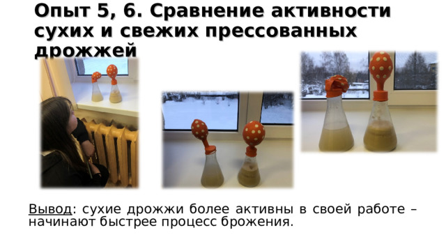 Опыт 5, 6. Сравнение активности сухих и свежих прессованных дрожжей           Вывод : сухие дрожжи более активны в своей работе – начинают быстрее процесс брожения. 