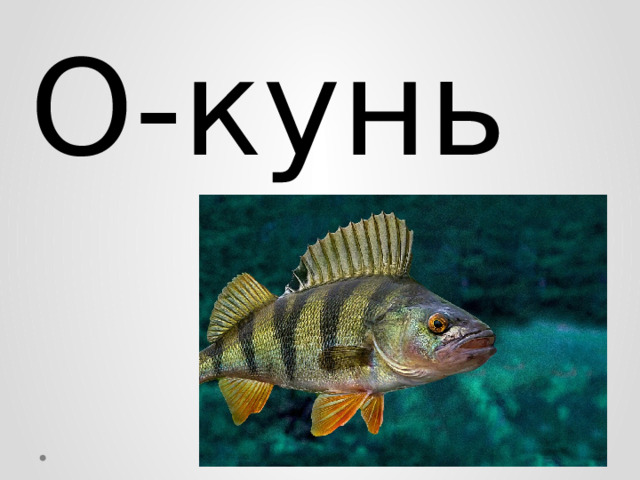 О-кунь 