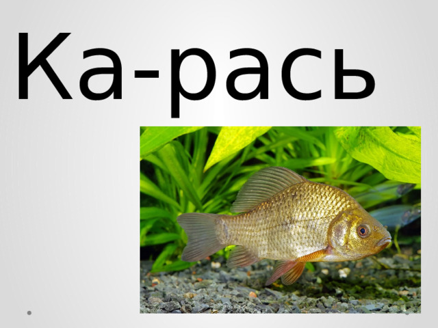 Ка-рась 