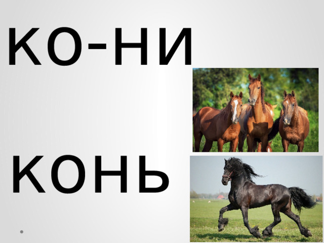 ко-ни конь 