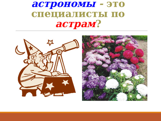 Правда ли, что астрономы - это специалисты по астрам ? 