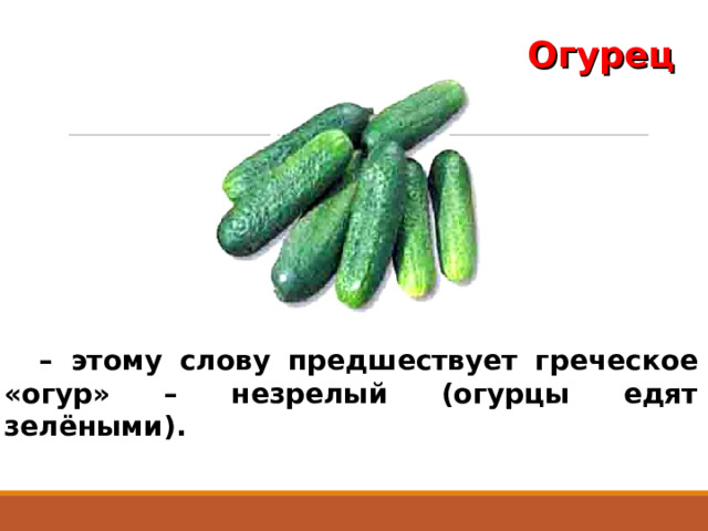 Огурец – этому слову предшествует греческое «огур» – незрелый (огурцы едят зелёными). 