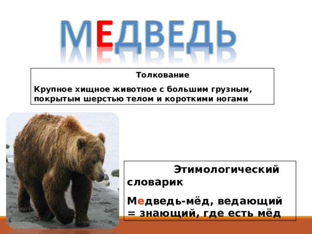  Толкование Крупное хищное животное с большим грузным, покрытым шерстью телом и короткими ногами  Этимологический словарик М е дведь-мёд, ведающий = знающий, где есть мёд 