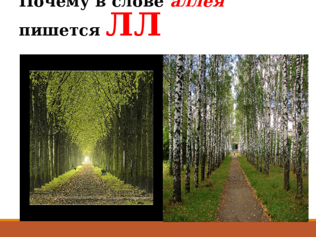        Почему в слове аллея  пишется ЛЛ ?   