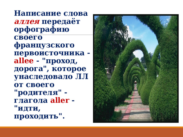  Написание слова аллея  передаёт орфографию своего французского первоисточника - allee - 