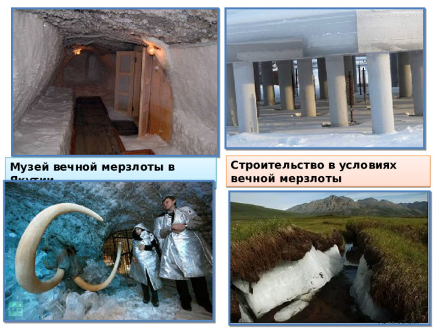 Строительство в условиях вечной мерзлоты Музей вечной мерзлоты в Якутии 