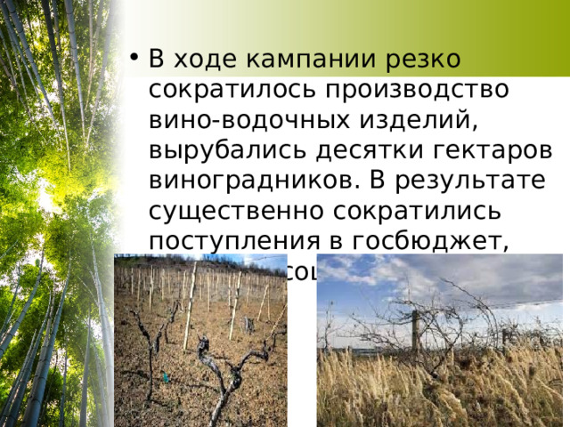 В ходе кампании резко сократилось производство вино-водочных изделий, вырубались десятки гектаров виноградников. В результате существенно сократились поступления в госбюджет, усилился социальный протест 