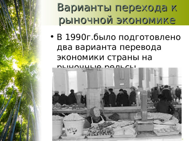 Варианты перехода к рыночной экономике В 1990г.было подготовлено два варианта перевода экономики страны на рыночные рельсы   