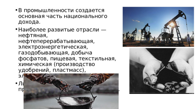 В промышленности создается основная часть национального дохода. Наиболее развитые отрасли — нефтяная, нефтеперерабатывающая, электроэнергетическая, газодобывающая, добыча фосфатов, пищевая, текстильная, химическая (производство удобрений, пластмасс), электротехническая. Лишь треть территории Сирии пригодна для сельского хозяйства. 