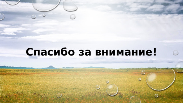 10 Спасибо за внимание! 