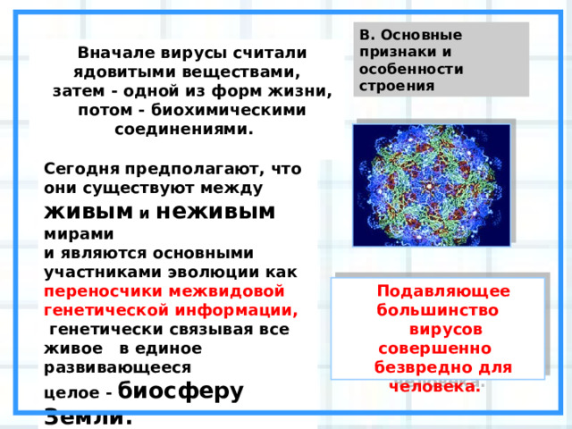 В. Основные признаки и особенности строения Вначале вирусы считали ядовитыми веществами,  затем - одной из форм жизни, потом - биохимическими соединениями.  Сегодня предполагают, что они существуют между живым и неживым мирами и являются основными участниками эволюции как переносчики межвидовой генетической информации,  генетически связывая все живое в единое развивающееся целое - биосферу Земли. Подавляющее большинство  вирусов совершенно безвредно для человека. 