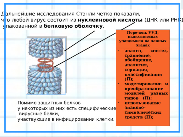 Дальнейшие исследования Стэнли четко показали, что любой вирус состоит из нуклеиновой кислоты (ДНК или РНК),  упакованной в белковую оболочку . Перечень УУД, выполняемых учащимися на данных этапах анализ, синтез, сравнение, обобщение, аналогия, сериация, классификация (П); моделирование и преобразование моделей разных типов (П); использование знаково-символических средств (П);  Помимо защитных белков у некоторых из них есть специфические  вирусные белки, участвующие в инфицировании клетки. 