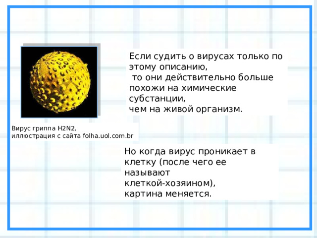 Если судить о вирусах только по этому описанию,  то они действительно больше похожи на химические субстанции, чем на живой организм. Вирус гриппа Н2N2, иллюстрация с сайта folha.uol.com.br Но когда вирус проникает в клетку (после чего ее называют клеткой-хозяином), картина меняется. 