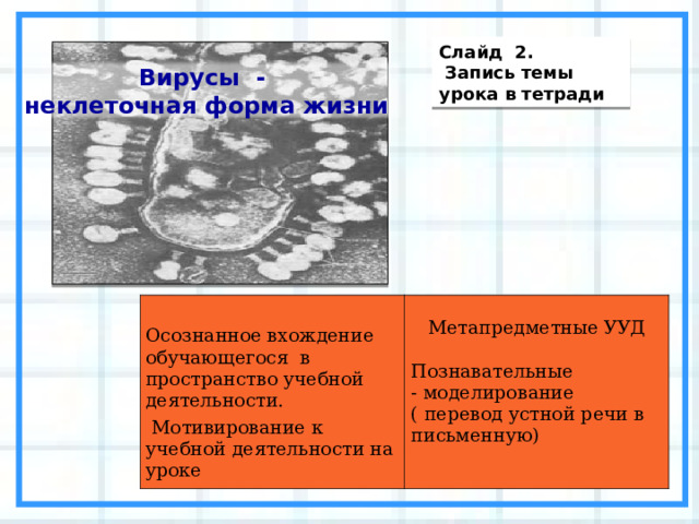 Слайд 2.  Запись темы урока в тетради Вирусы - неклеточная форма жизни Осознанное вхождение обучающегося в пространство учебной деятельности.  Мотивирование к учебной деятельности на уроке Метапредметные УУД Познавательные - моделирование ( перевод устной речи в письменную) 