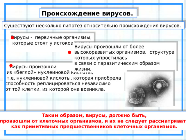 Происхождение вирусов.  Существуют несколько гипотез относительно происхождения вирусов. Вирусы - первичные организмы,  которые стоят у истоков жизни. Вирусы произошли от более высокоразвитых организмов, структура которых упростилась в связи с паразитическим образом жизни.  Вирусы произошли  из «беглой» нуклеиновой кислоты,  т.е. нуклеиновой кислоты, которая приобрела способность реплицироваться независимо от той клетки, из которой она возникла. Таким образом, вирусы, должно быть, произошли от клеточных организмов, и их не следует рассматривать как примитивных предшественников клеточных организмов. 