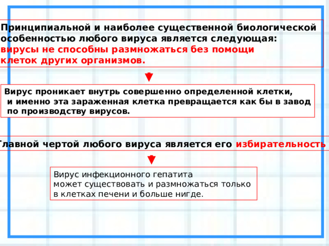 Принципиальной и наиболее существенной биологической особенностью любого вируса является следующая:  вирусы не способны размножаться без помощи клеток других организмов. Вирус проникает внутрь совершенно определенной клетки,  и именно эта зараженная клетка превращается как бы в завод  по производству вирусов. Главной чертой любого вируса является его избирательность Вирус инфекционного гепатита может существовать и размножаться только в клетках печени и больше нигде. 