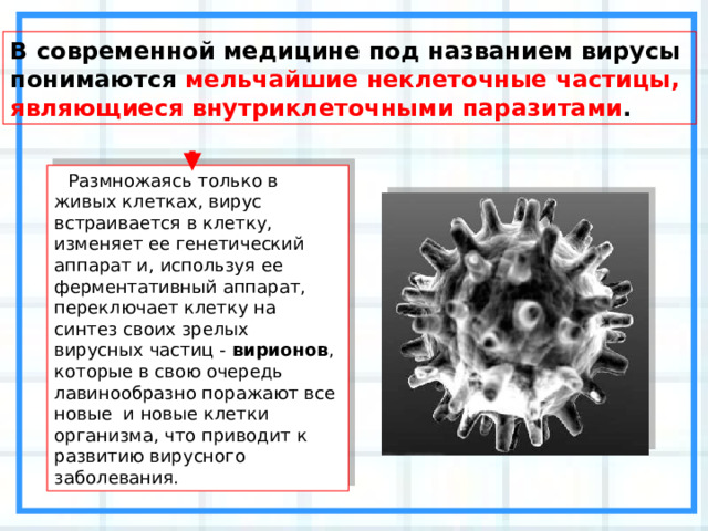 В современной медицине под названием вирусы понимаются мельчайшие неклеточные частицы, являющиеся внутриклеточными паразитами . Размножаясь только в живых клетках, вирус встраивается в клетку, изменяет ее генетический аппарат и, используя ее ферментативный аппарат, переключает клетку на синтез своих зрелых вирусных частиц - вирионов , которые в свою очередь лавинообразно поражают все новые и новые клетки организма, что приводит к развитию вирусного заболевания. 