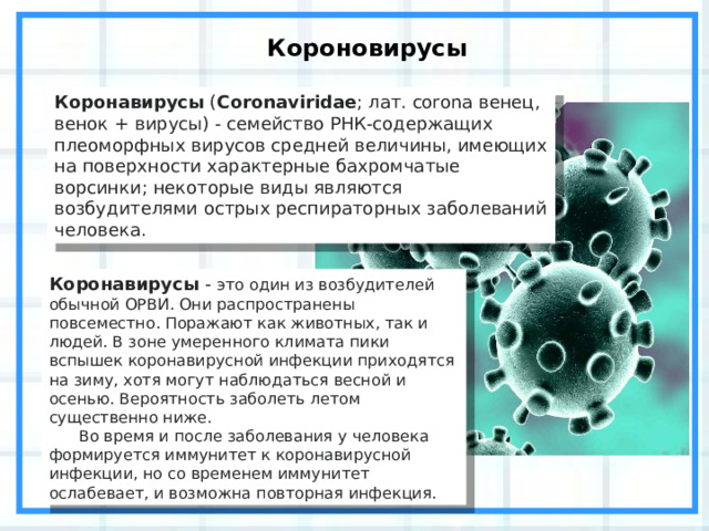 Короновирусы Коронавирусы  ( Coronaviridae ; лат. corona венец, венок + вирусы) - семейство РНК-содержащих плеоморфных вирусов средней величины, имеющих на поверхности характерные бахромчатые ворсинки; некоторые виды являются возбудителями острых респираторных заболеваний человека. Коронавирусы  - это один из возбудителей обычной ОРВИ. Они распространены повсеместно. Поражают как животных, так и людей. В зоне умеренного климата пики вспышек коронавирусной инфекции приходятся на зиму, хотя могут наблюдаться весной и осенью. Вероятность заболеть летом существенно ниже.  Во время и после заболевания у человека формируется иммунитет к коронавирусной инфекции, но со временем иммунитет ослабевает, и возможна повторная инфекция. 