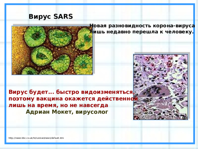 Вирус SARS Новая разновидность корона-вируса лишь недавно перешла к человеку. Вирус будет... быстро видоизменяться, поэтому вакцина окажется действенной лишь на время, но не навсегда         Адриан Мокет, вирусолог http://news.bbc.co.uk/hi/russian/news/default.stm 