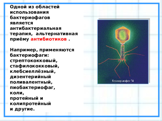 Одной из областей использования бактериофагов является антибактериальная терапия, альтернативная приёму антибиотиков .  Например, применяются бактериофаги: стрептококковый, стафилококковый, клебсиеллёзный, дизентерийный поливалентный, пиобактериофаг, коли, протейный и колипротейный и другие. 