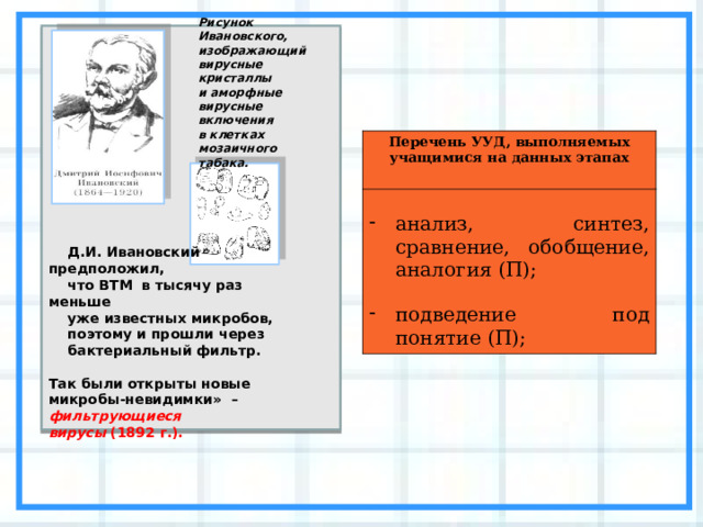 Рисунок Ивановского, изображающий вирусные кристаллы и аморфные вирусные включения в клетках мозаичного табака. Перечень УУД, выполняемых учащимися на данных этапах анализ, синтез, сравнение, обобщение, аналогия (П);  подведение под понятие (П);  Д.И. Ивановский предположил,  что ВТМ в тысячу раз меньше  уже известных микробов,  поэтому и прошли через  бактериальный фильтр.  Так были открыты новые микробы-невидимки» – фильтрующиеся вирусы  (1892 г.). 