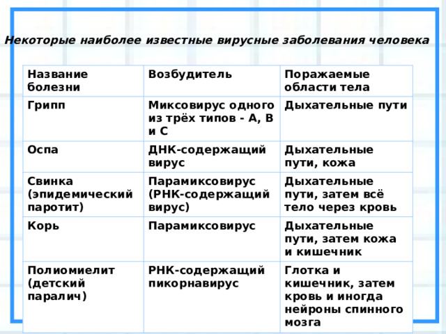 Некоторые наиболее известные вирусные заболевания человека Название болезни Возбудитель Грипп Миксовирус одного из трёх типов - А, В и С Поражаемые области тела Оспа Свинка (эпидемический паротит) ДНК-содержащий вирус Дыхательные пути Дыхательные пути, кожа Корь Парамиксовирус (РНК-содержащий вирус) Дыхательные пути, затем всё тело через кровь Парамиксовирус Полиомиелит (детский паралич) Дыхательные пути, затем кожа и кишечник РНК-содержащий пикорнавирус Глотка и кишечник, затем кровь и иногда нейроны спинного мозга 