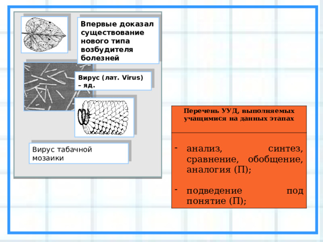 Впервые доказал существование нового типа возбудителя болезней Вирус (лат. Virus )  – яд. Перечень УУД, выполняемых учащимися на данных этапах анализ, синтез, сравнение, обобщение, аналогия (П);  подведение под понятие (П); Вирус табачной мозаики 