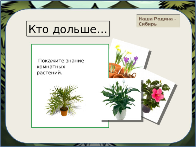 Наша Родина - Сибирь Кто дольше…  Покажите знание комнатных растений. 