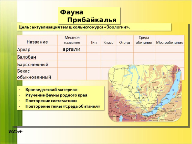 Фауна Прибайкалья 