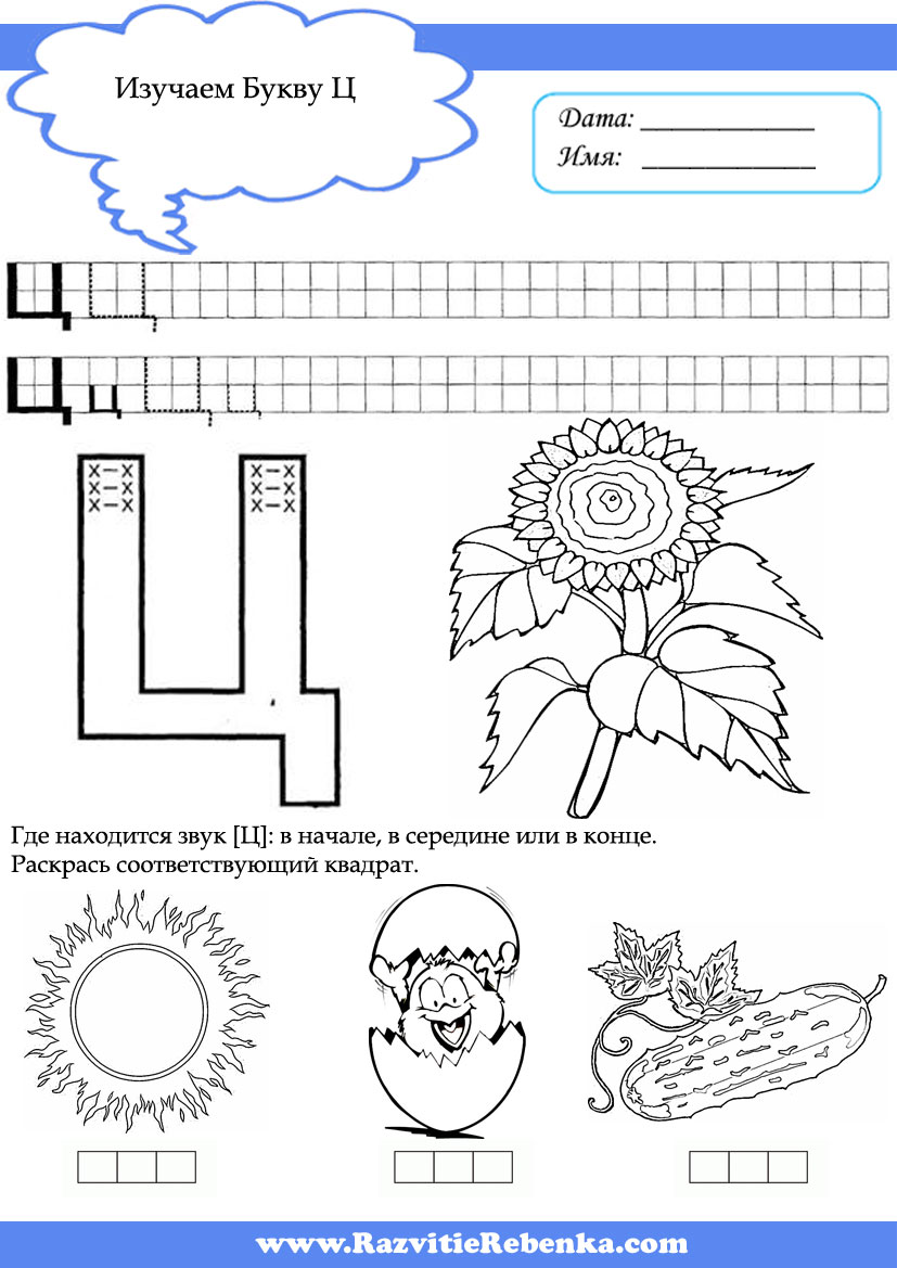 Задания на звук ц для дошкольников в картинках