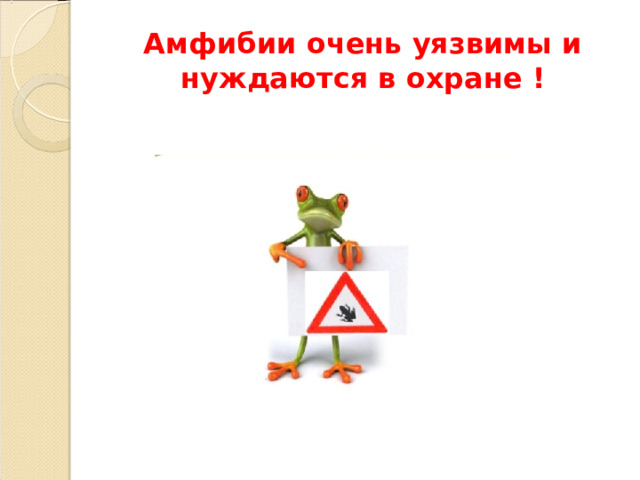 Амфибии очень уязвимы и нуждаются в охране ! 