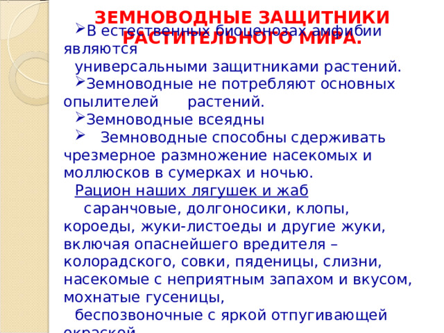 ЗЕМНОВОДНЫЕ ЗАЩИТНИКИ РАСТИТЕЛЬНОГО МИРА. В естественных биоценозах амфибии являются универсальными защитниками растений. Земноводные не потребляют основных опылителей растений. Земноводные всеядны  Земноводные способны сдерживать чрезмерное размножение насекомых и моллюсков в сумерках и ночью. Рацион наших лягушек и жаб  саранчовые, долгоносики, клопы, короеды, жуки-листоеды и другие жуки, включая опаснейшего вредителя – колорадского, совки, пяденицы, слизни, насекомые с неприятным запахом и вкусом, мохнатые гусеницы, беспозвоночные с яркой отпугивающей окраской. 