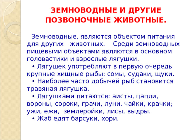 ЗЕМНОВОДНЫЕ И ДРУГИЕ ПОЗВОНОЧНЫЕ ЖИВОТНЫЕ . Земноводные, являются объектом питания для других животных. Среди земноводных пищевыми объектами являются в основном головастики и взрослые лягушки. •  Лягушек употребляют в первую очередь крупные хищные рыбы: сомы, судаки, щуки. •  Наиболее часто добычей рыб становится травяная лягушка. •  Лягушками питаются: аисты, цапли, вороны, сороки, грачи, луни, чайки, крачки; ужи, ежи, землеройки, лисы, выдры. •  Жаб едят барсуки, хори.  