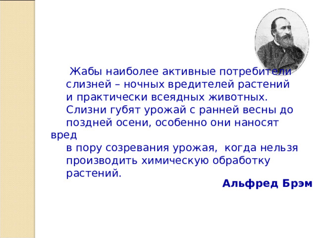 Жаба настоящее благосостояние для мест, где она поселилась.  Жабы наиболее активные потребители слизней – ночных вредителей растений и практически всеядных животных. Слизни губят урожай с ранней весны до поздней осени, особенно они наносят вред в пору созревания урожая, когда нельзя производить химическую обработку растений. Альфред Брэм 