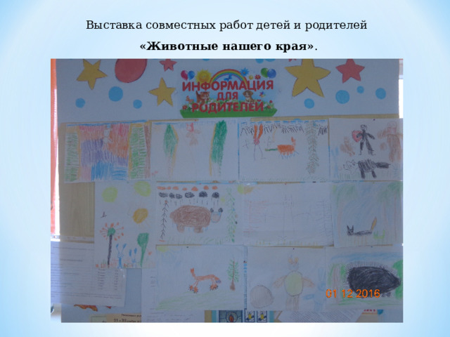Выставка совместных работ детей и родителей  «Животные нашего края» . 