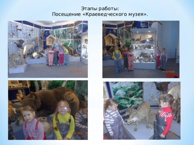 Этапы работы: Посещение «Краеведческого музея». 