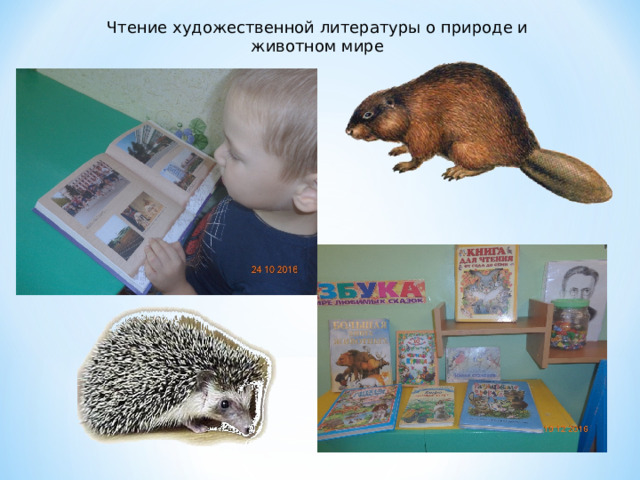 Чтение художественной литературы о природе и животном мире 