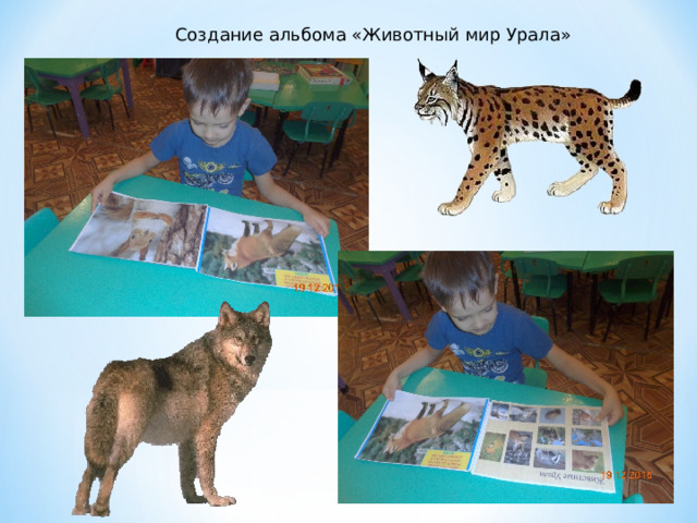 Создание альбома «Животный мир Урала» 