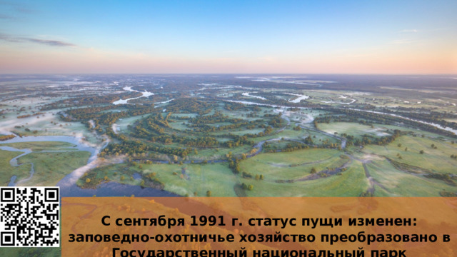  С сентября 1991 г. статус пущи изменен: заповедно-охотничье хозяйство преобразовано в Государственный национальный парк «Беловежская пуща». 